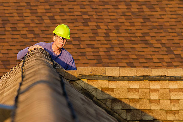 Best Roof Gutter Cleaning  in Black Point Green Point, CA